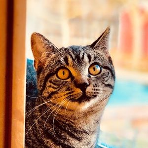 Meet your Posher, John